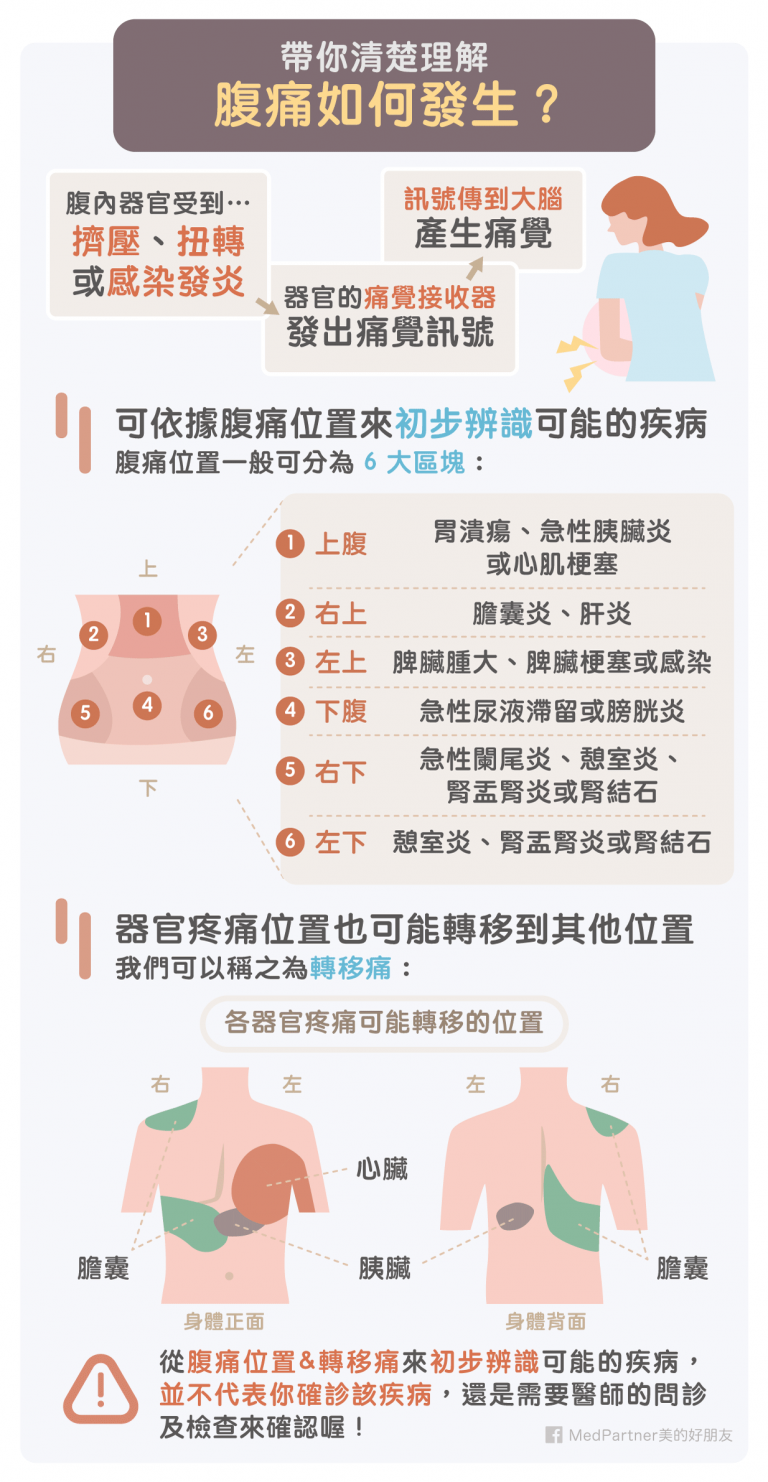 胃痛和腹痛如何區分？該緊急就醫或自我緩解？醫師完整教學！ | 美的好朋友