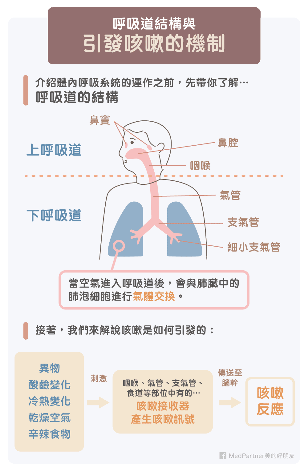 喉嚨 癢 咳 到 想 吐