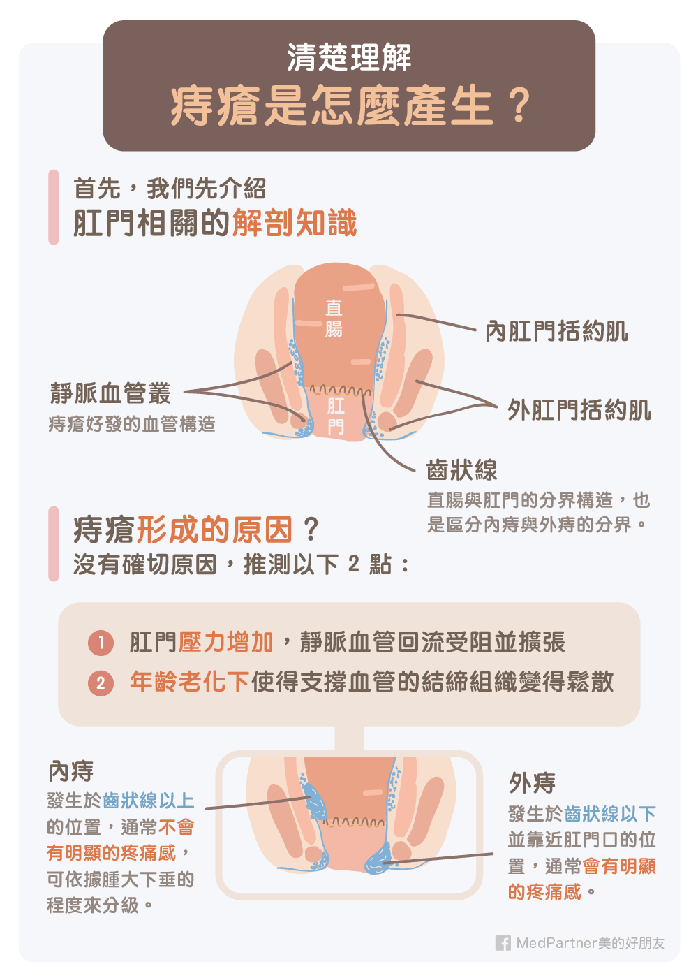 肛門 有 痣