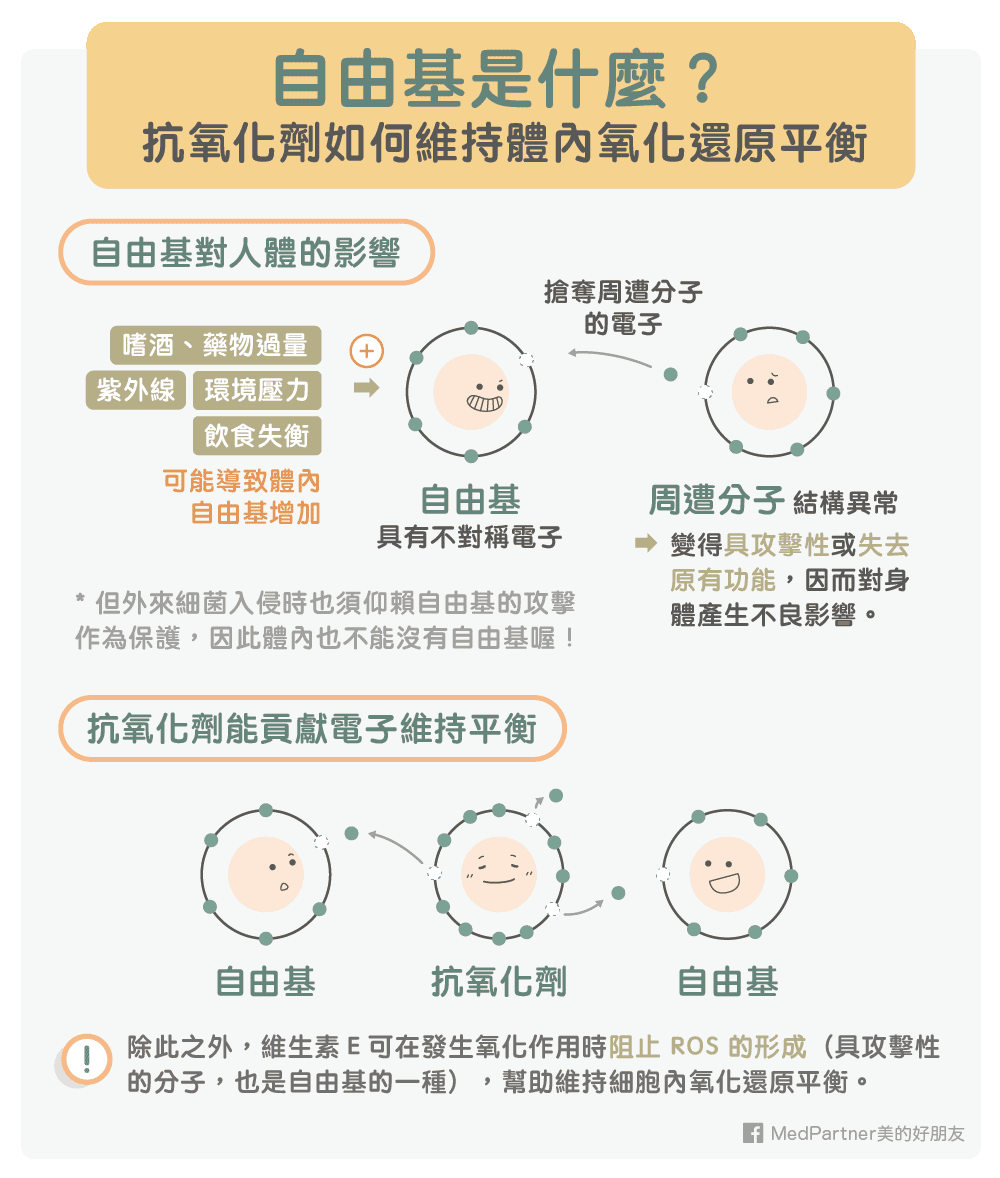 維他命E的功效和副作用有哪些？如何正確補充？ | 美的好朋友